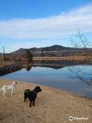 Lake Miyagase