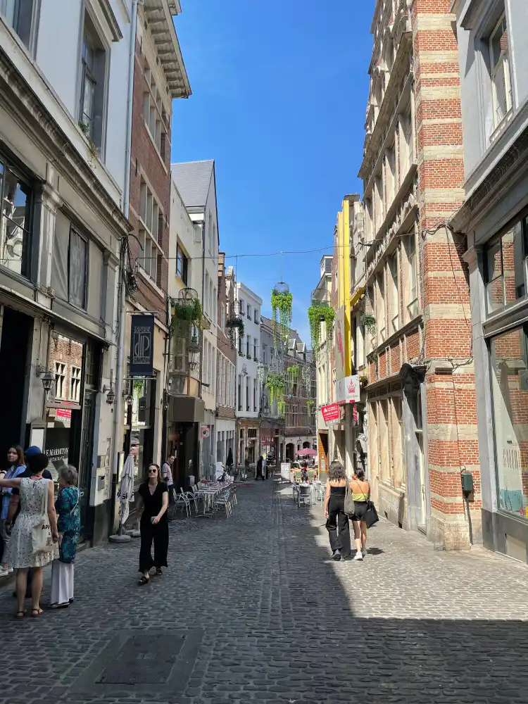 Rue des Bouchers 주변 호텔