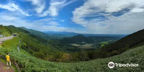 Karikachitoge