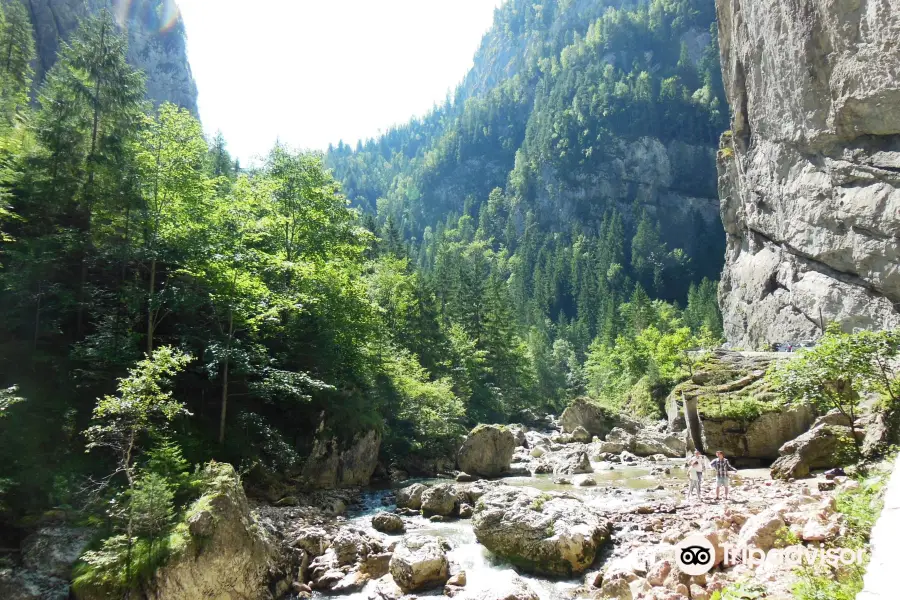 Bicaz Canyon