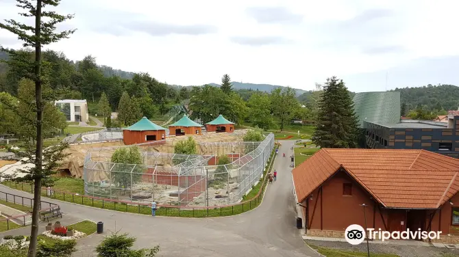 4_Zoo Brasov