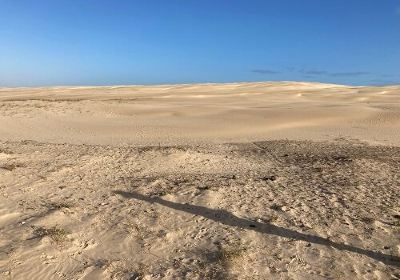 Stockton Sand Dunes