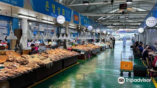Yeosu Fish Market