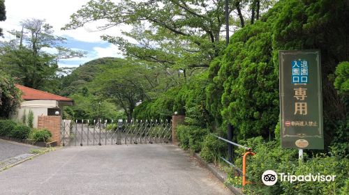 ひめはるの里花菖蒲園