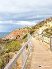 The Coastal Walk