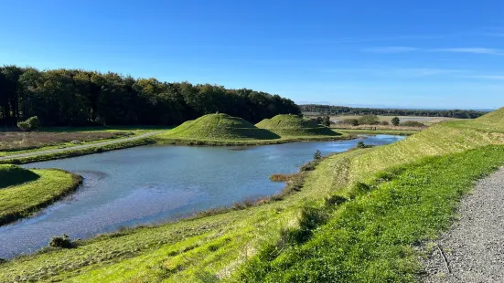 Northumberlandia