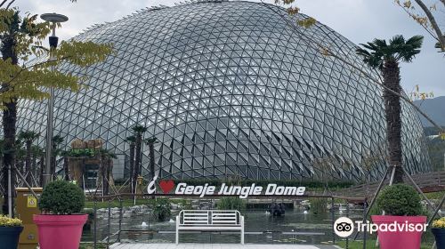 Geoje Botanical Garden Jungle Dome