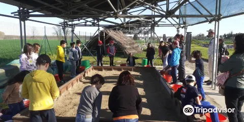 Parco Archeologico del Forcello