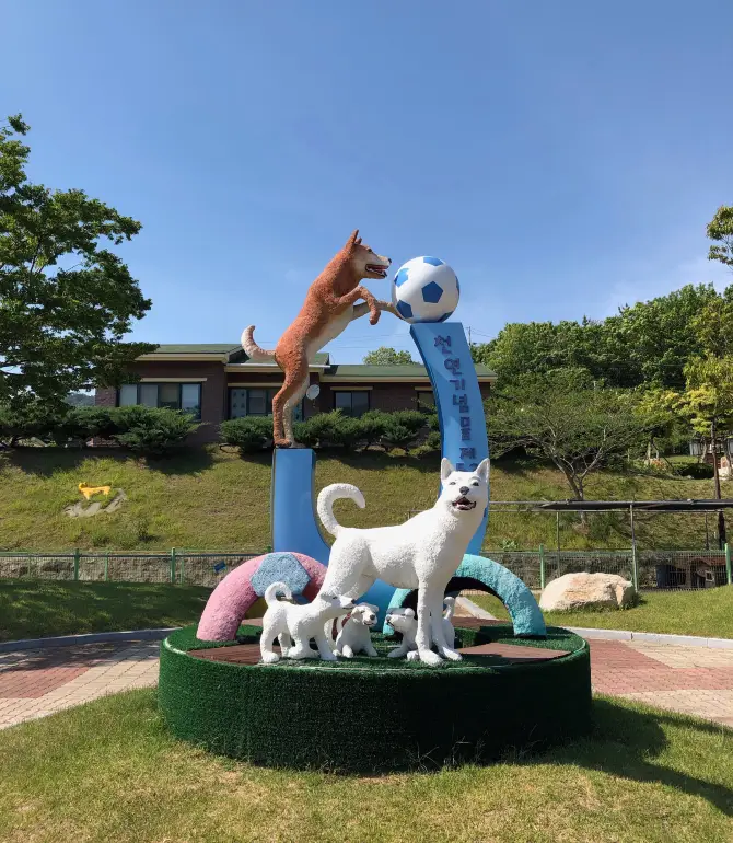 진도군