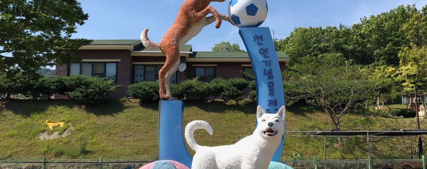 Jindo-gun