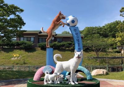 Jindo Dog Theme Park