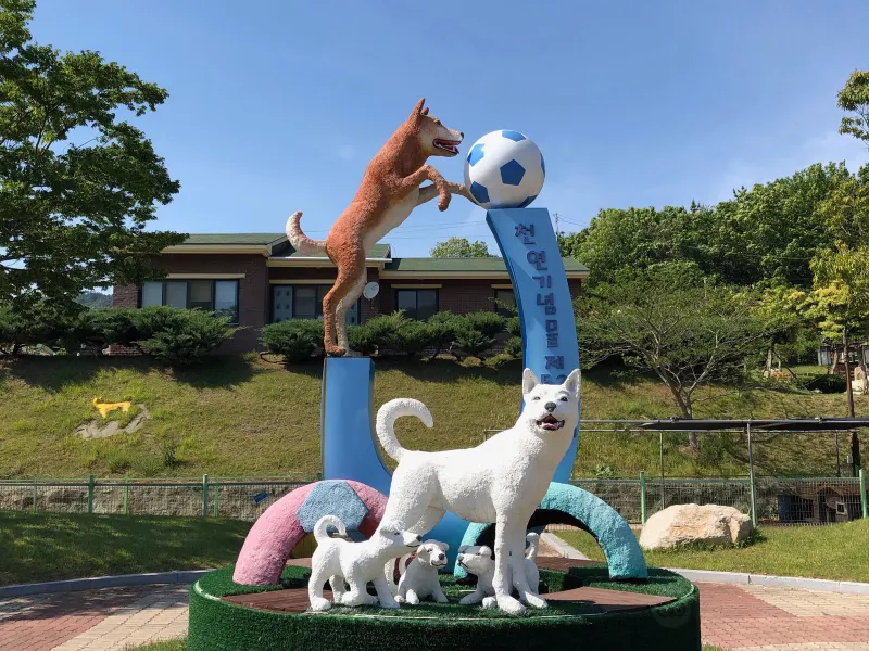 진도군