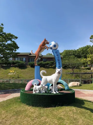 Jindo-gun