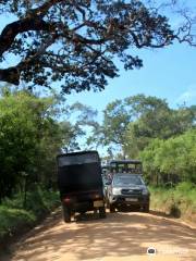 Elegant Safari Tours Hambantota Sri Lanka