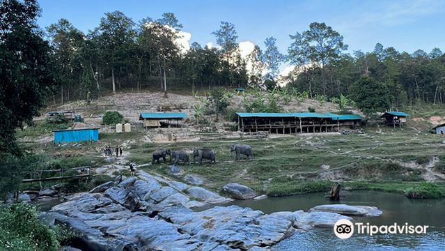 Into the Wild Elephant Camp