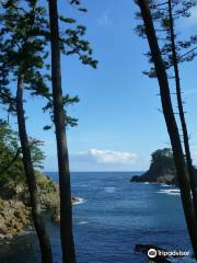 Jōdogaura Coast