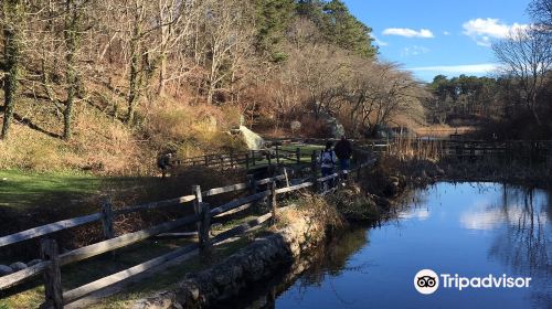 Stony Brook Grist Mill