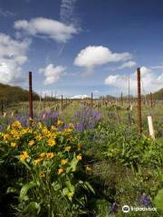 Klickitat Canyon & Columbia Gorge Winery