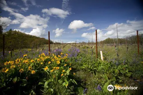 Klickitat Canyon & Columbia Gorge Winery