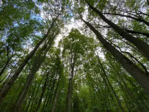 Parc écologique Godefroy