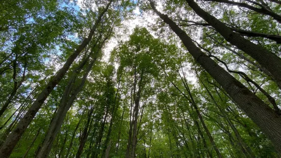 Parc écologique Godefroy