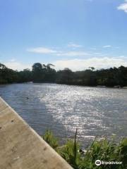 Tarwin River