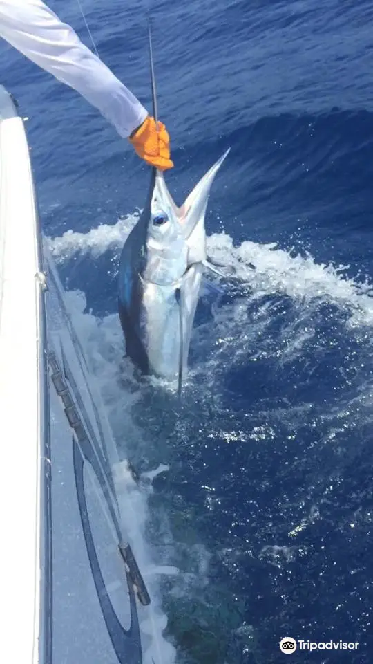 Sea-fishing in Punta Cana