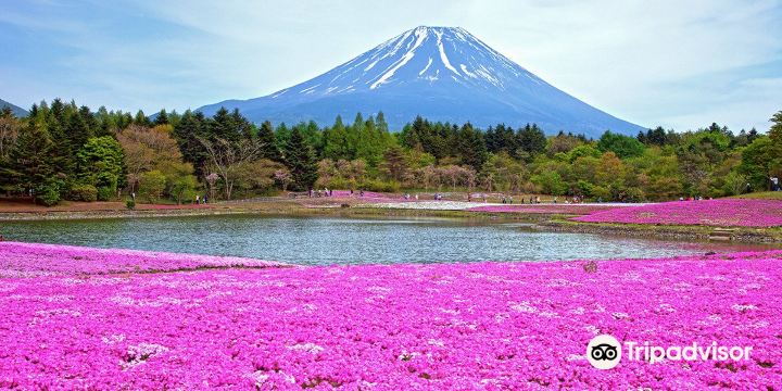 Fuji Five Lakes
