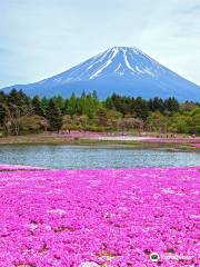 Fuji Five Lakes