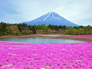 Fuji Five Lakes