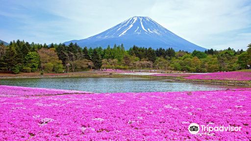 河口湖富士山全景纜車來回門票成人票 河口湖富士山全景纜車來回門票成人票