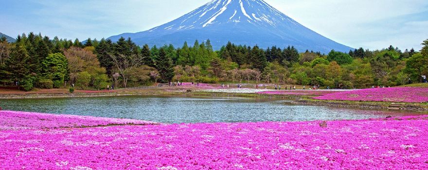 Fuji Five Lakes