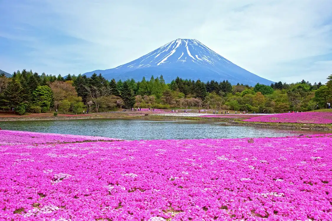 Hotels near Fuji Five Lakes