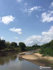 Saadani National Park