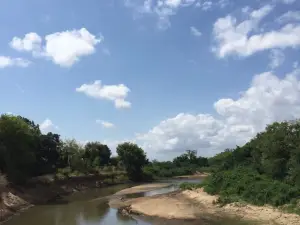 Saadani National Park