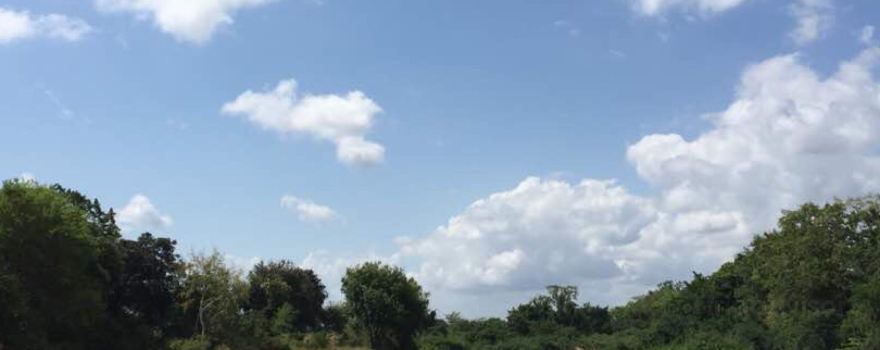 Tanga