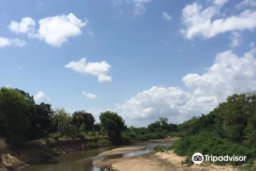 Saadani National Park