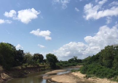Saadani National Park