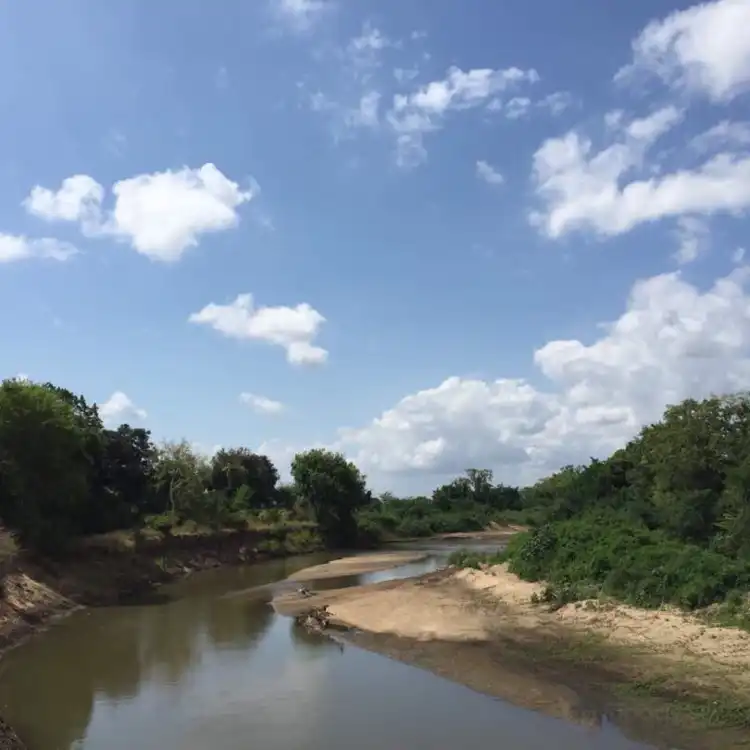 Pangani