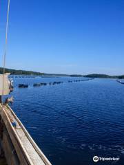 Eel Lake Oyster Farm