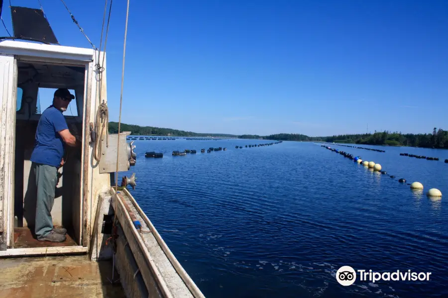 Eel Lake Oyster Farm