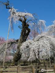 清雲寺