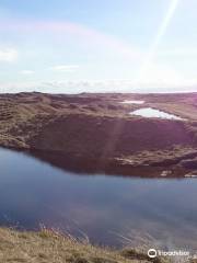 Kenfig National Nature Reserve