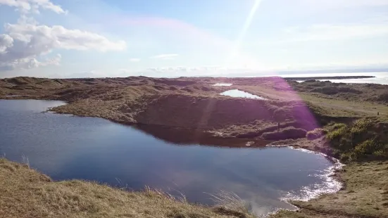 Kenfig National Nature Reserve