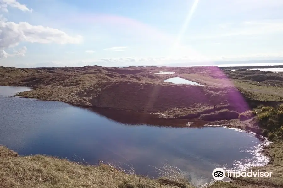 Kenfig National Nature Reserve