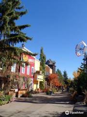 The Saskatoon Berry Farm