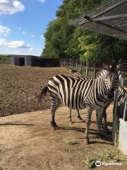 Magan Zoo