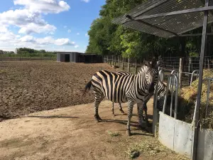 Magán Zoo