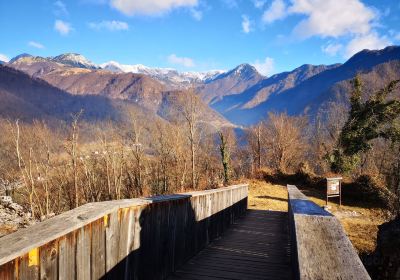 Tolmin