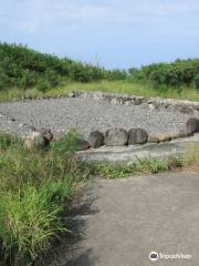 Halekiʻi-Pihana Heiau State Monument